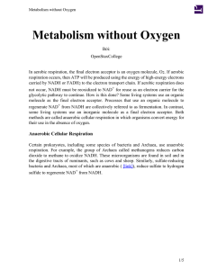 Metabolism without Oxygen
