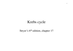 Krebs cycle