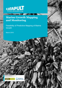 Marine Growth Mapping and Monitoring