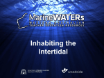 Inhabiting the Intertidal - Marine WATERs