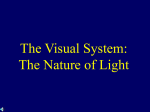 The Visual System: The Nature of Light