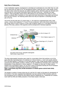 Development and Apoptosis