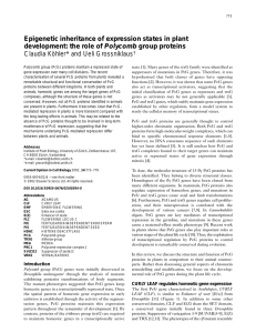 Epigenetic inheritance of expression states in plant development