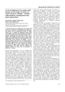 Level of endogenous free amino acids during various stages of