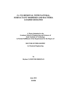 Cr (VI) REMOVAL WITH NATURAL, SURFACTANT - Library