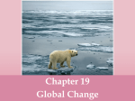 chapter 19