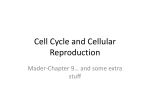 Cell Cycle and Cellular Reproduction
