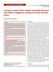 Common origin of the medial circumflex femoral and inferior