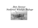 Allyson Easom - Bon Secour National Wildlife Refuge