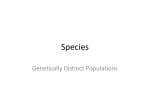 Species PwrPnt