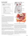 Urinary Tract Infection (UTI) - Athena Women`s Institute for Pelvic