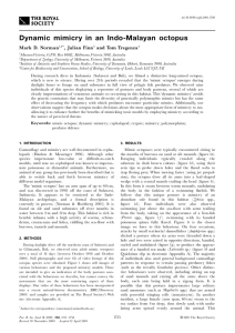 Dynamic mimicry in an Indo Malyan Octopus