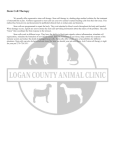 Stem Cell Therapy - Logan County Animal Clinic