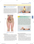 Assessment and Massage of the Psoas Major