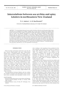 Interrelations between sea urchins and spiny lobsters