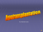 Xenotransplantation