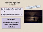Evolution Notes #2 updated