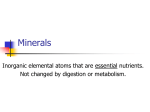 Minerals - WordPress.com