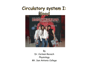 Circulatory system I: Blood Circulatory system I: Blood