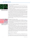 PDF - The Journal of Experimental Medicine