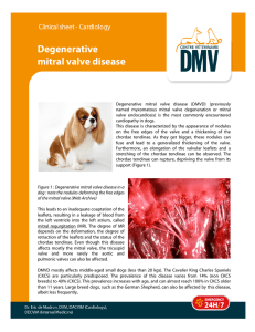 Degenerative mitral valve disease