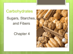 Chapter 4-Carbohydrates