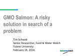 GMO salmon opposition