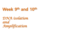Week 9th and 10th DNA isolation and Amplification