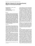 BRCA2 Is Required for Homology-Directed Repair of Chromosomal