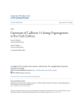 Expression of Cadherin-11 during Organogenesis in the Chick Embryo