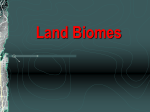 Biomes ppt - Schwichtenberg