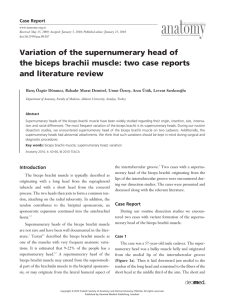 Variation of the supernumerary head of the biceps brachii muscle