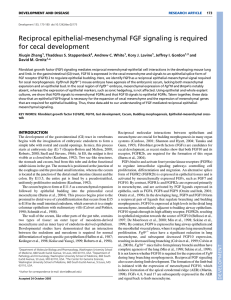 Reciprocal epithelial-mesenchymal FGF signaling is required for
