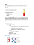 Blood Cells - Dr Magrann