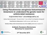 Using bacterial biosensors to understand the genetic basis for