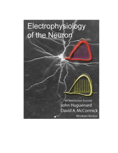 book - Electrophysiology of the Neuron
