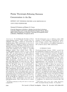 Plasma Thyrotropin-Releasing Hormone Concentrations in the Rat