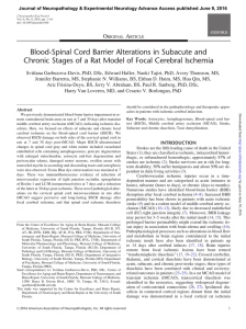 Blood-Spinal Cord Barrier Alterations in Subacute and Chronic