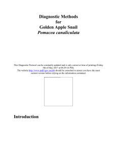 Diagnostic Methods for Golden Apple Snail Pomacea canaliculata