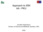 Approach to IEM AA