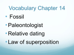 Vocabulary Chapter 14