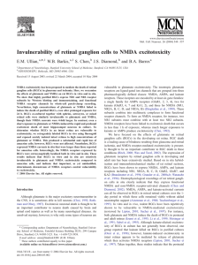 Invulnerability of retinal ganglion cells to NMDA excitotoxicity