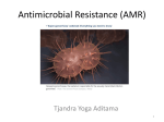 Antimicrobial Resistance