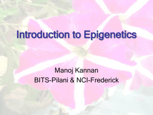 Introduction to Epigenetics - BITS Embryo