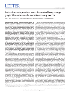 Behaviour-dependent recruitment of long