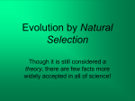 Evolution by Natural Selection