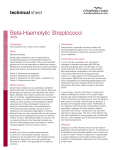 Beta-Haemolytic Streptococci (BHS)