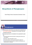 Biosynthesis of Phenylpropane