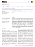 Light behind the curtain: photoregulation of nuclear architecture and