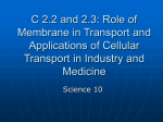 C 2.3 Applications of Cellular Transport in Industry and Medicine